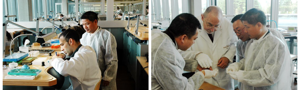 雷諾董事長(zhǎng)詹西洲考察江詩(shī)丹頓